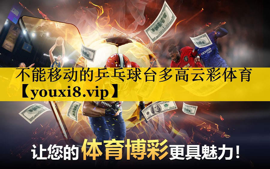 不能移动的乒乓球台多高云彩体育