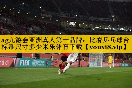 <strong>ag九游会亚洲真人第一品牌：比赛乒乓球台标准尺寸多少米乐体育下载</strong>