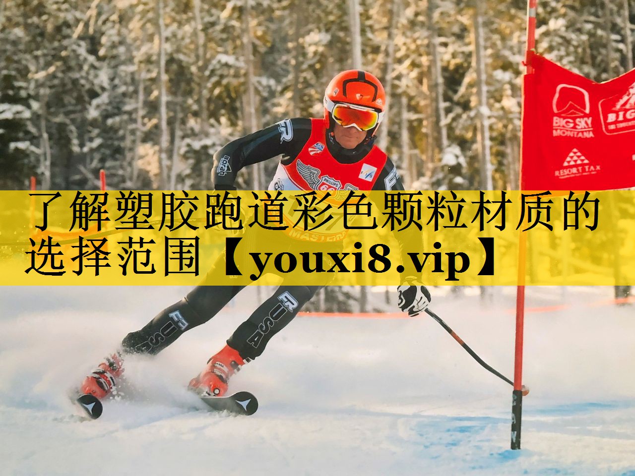 <strong>了解塑胶跑道彩色颗粒材质的选择范围</strong>