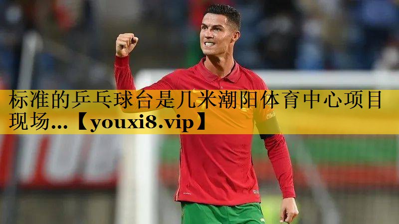 <strong>标准的乒乓球台是几米潮阳体育中心项目现场…</strong>