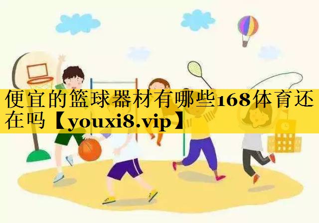 便宜的篮球器材有哪些168体育还在吗