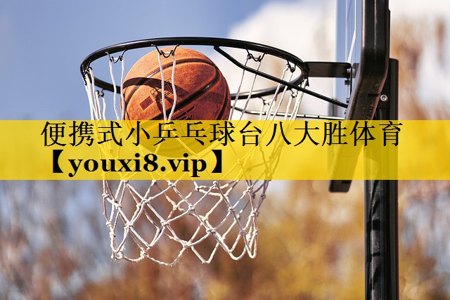 便携式小乒乓球台八大胜体育