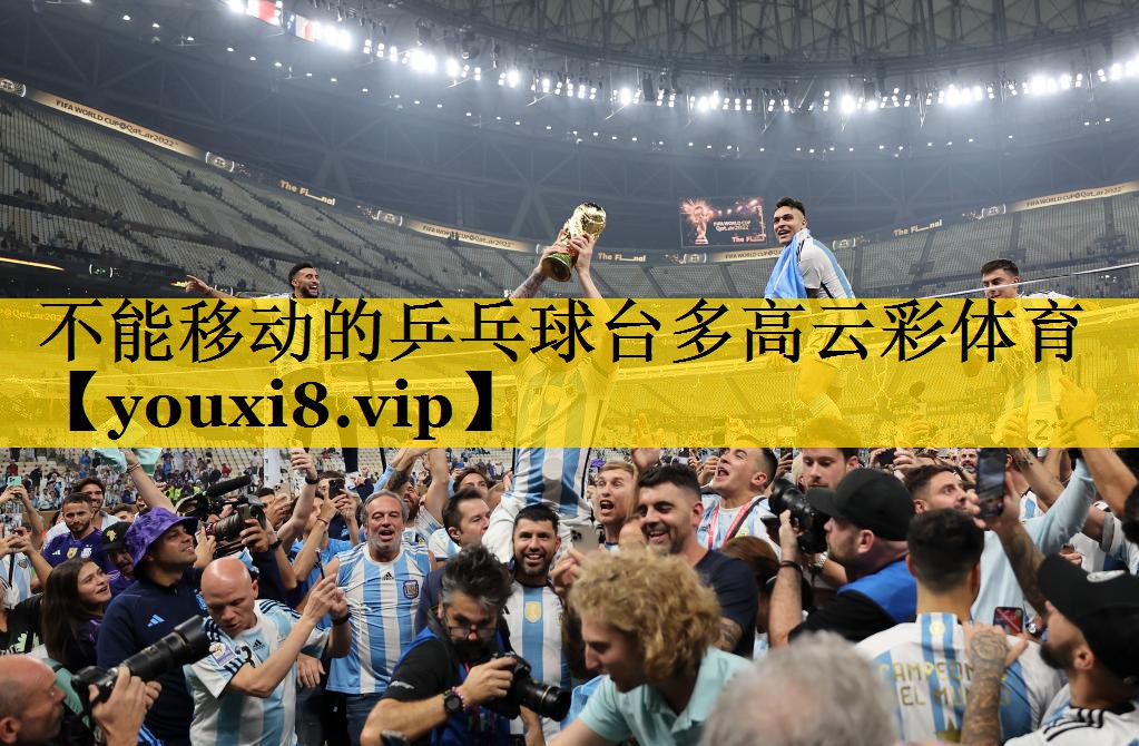 不能移动的乒乓球台多高云彩体育