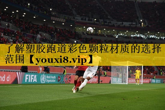 了解塑胶跑道彩色颗粒材质的选择范围