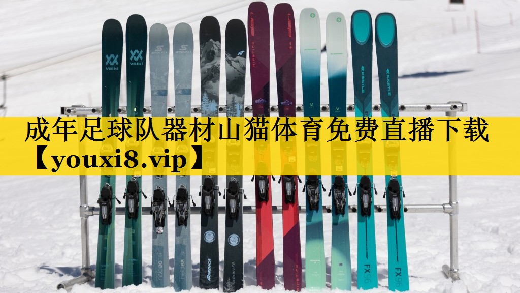 <strong>成年足球队器材山猫体育免费直播下载</strong>