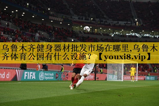 乌鲁木齐健身器材批发市场在哪里,乌鲁木齐体育公园有什么设施？