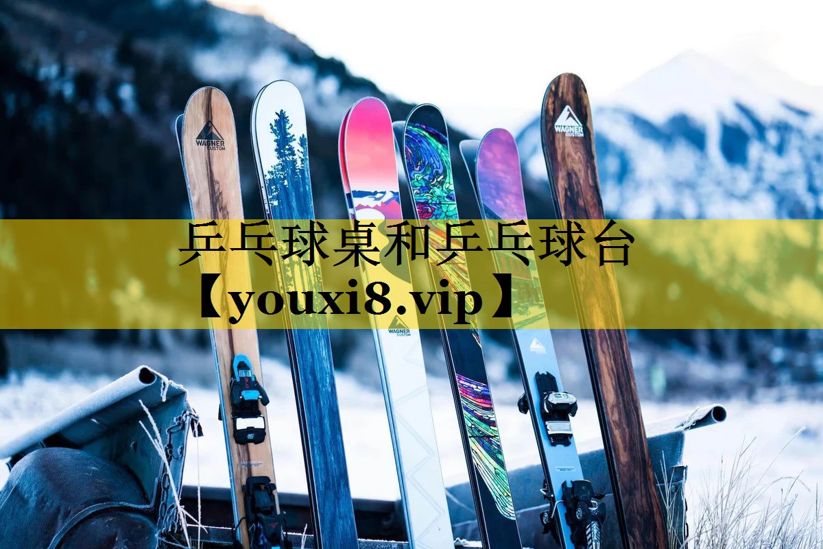 乒乓球桌和乒乓球台