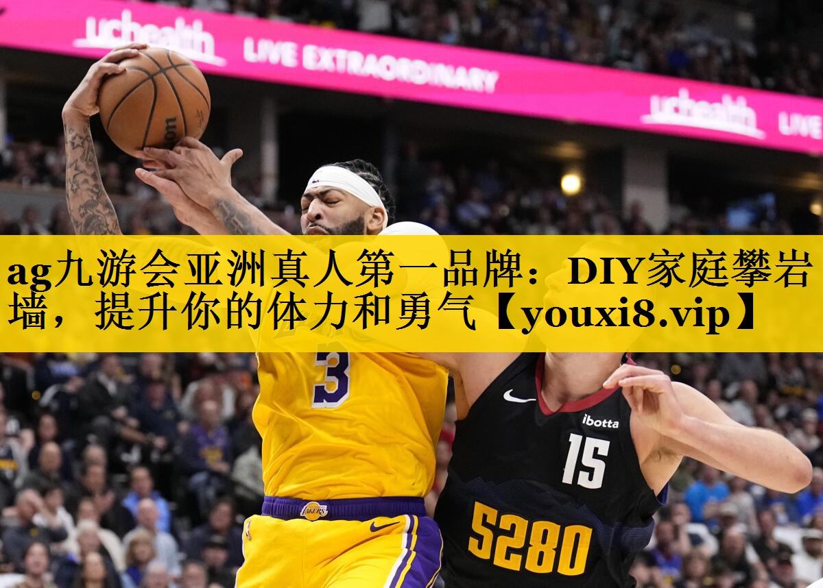 ag九游会亚洲真人第一品牌：DIY家庭攀岩墙，提升你的体力和勇气