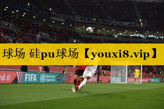 球场 硅pu球场