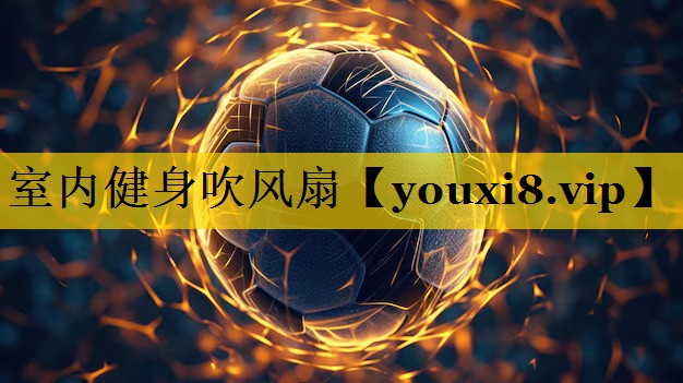 室内健身吹风扇