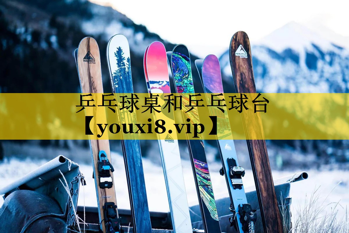 乒乓球桌和乒乓球台